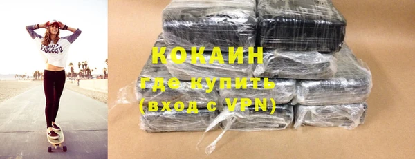 твердый Каменск-Шахтинский